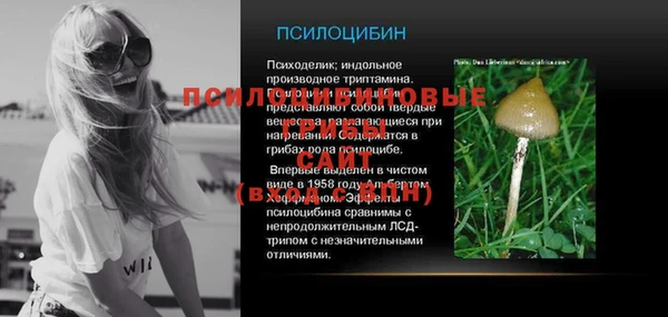 прущие грибы Аркадак