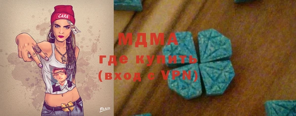 прущие грибы Аркадак