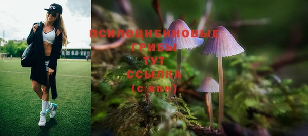 СК Армянск