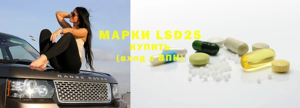 прущие грибы Аркадак