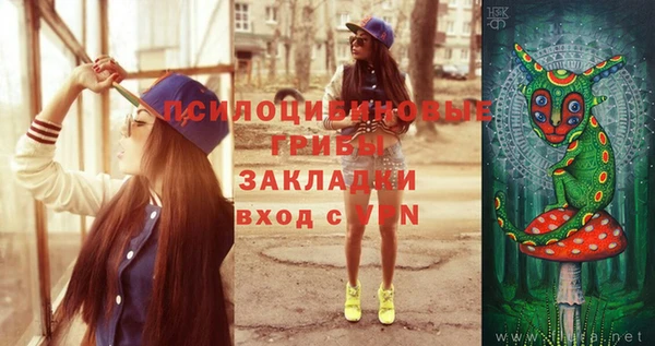 прущие грибы Аркадак