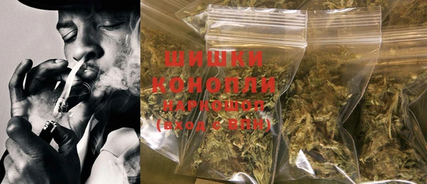 прущие грибы Аркадак