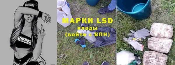 ECSTASY Покачи